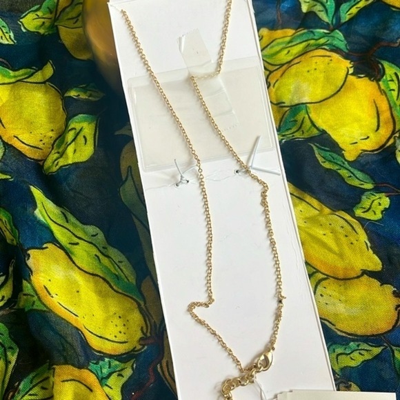 Brand New Lucky Brand Abalone Teardrop Pendant Long Necklace Gold Tone Vintage - Picture 12 of 14